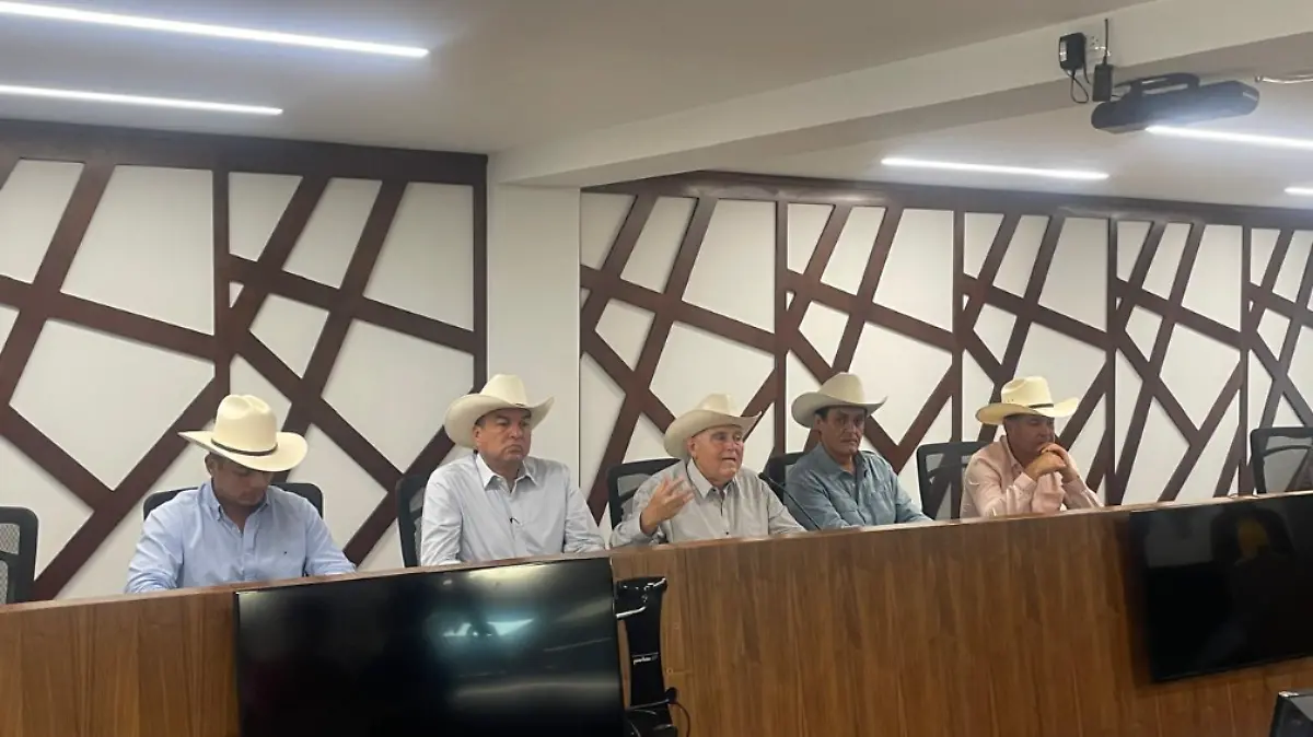 Captura de pantalla 2025-07-16 165808