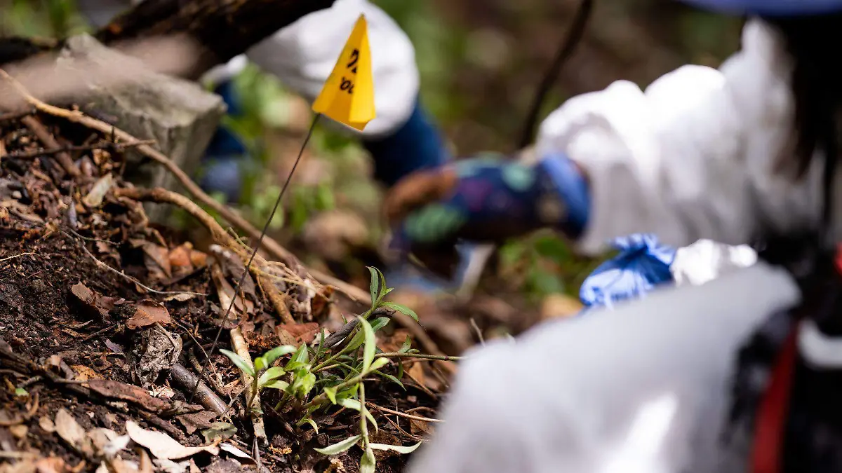 1034024_Segundo Día Búsqueda Mirador Topilejo_web