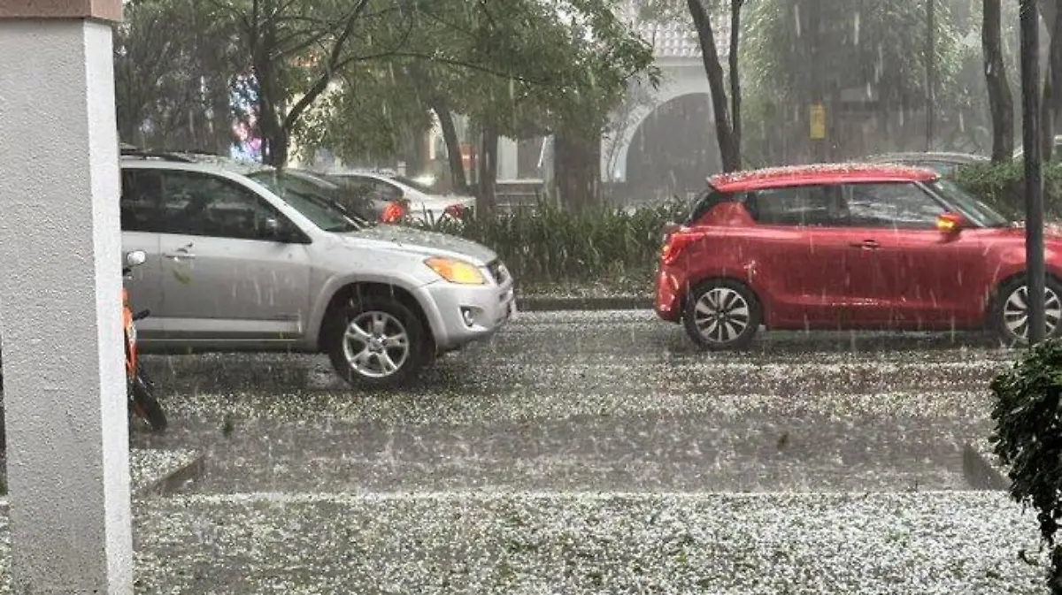 lluvia granizo polanco @ms_danflowers