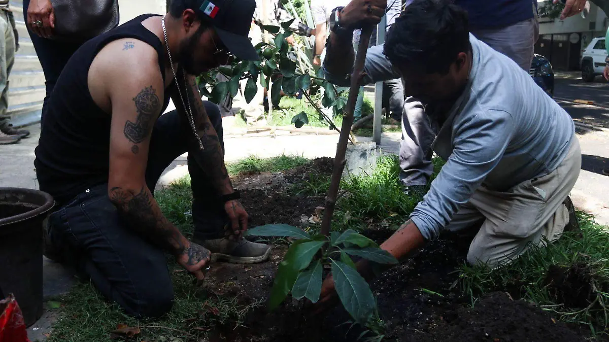 1039765_Árbol Laureano Planetwave_web