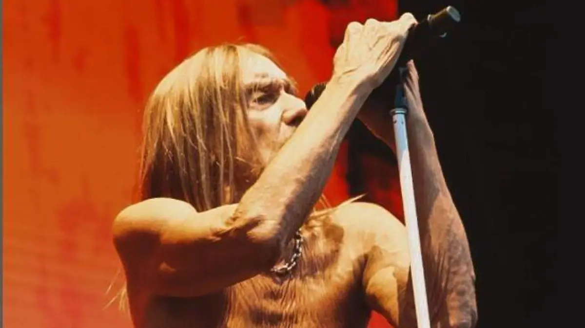 Iggy Pop, el padrino del punk