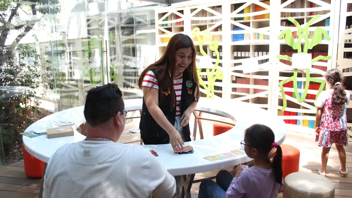 Captura de pantalla 2025-08-04 194203