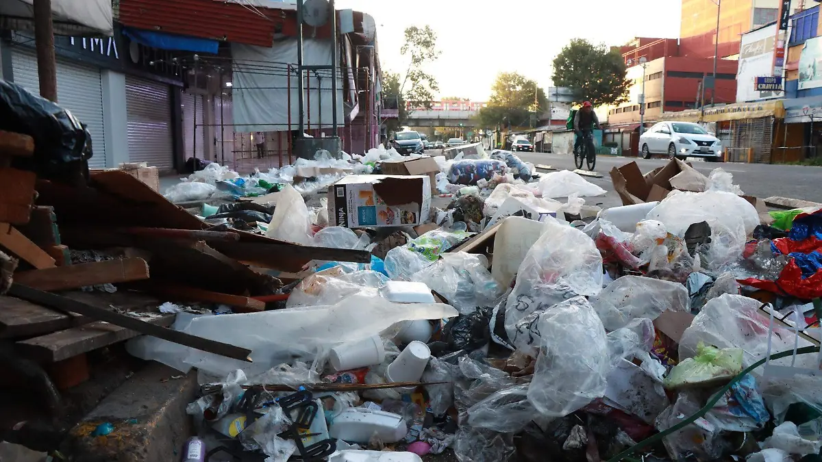 basura 2