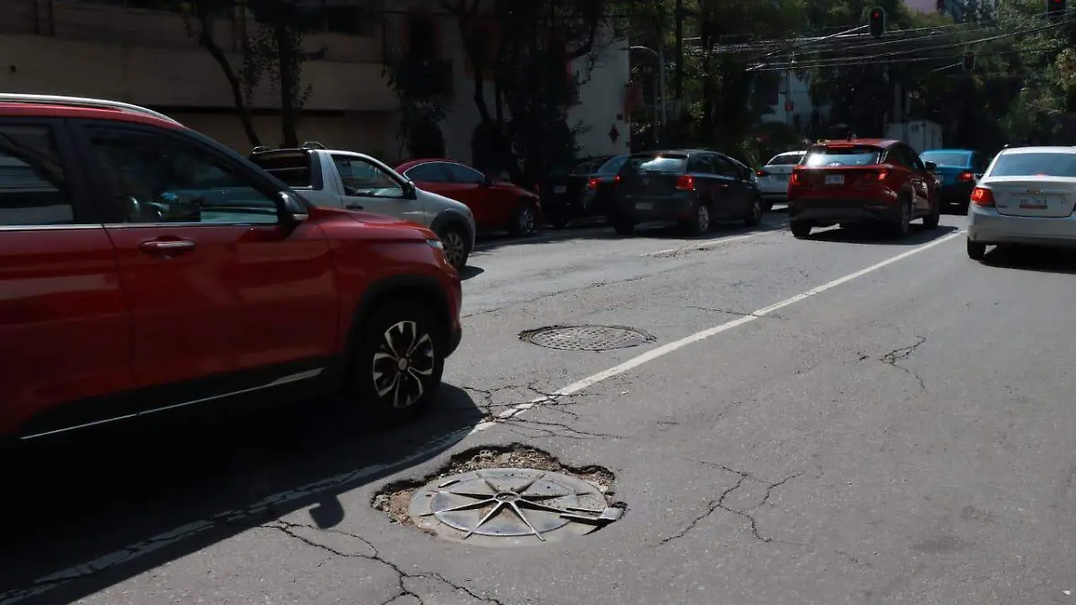 BACHES_1