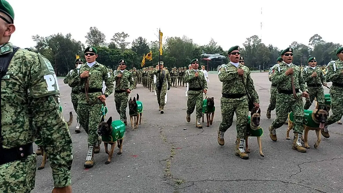 militares desfile CORTESIA.2