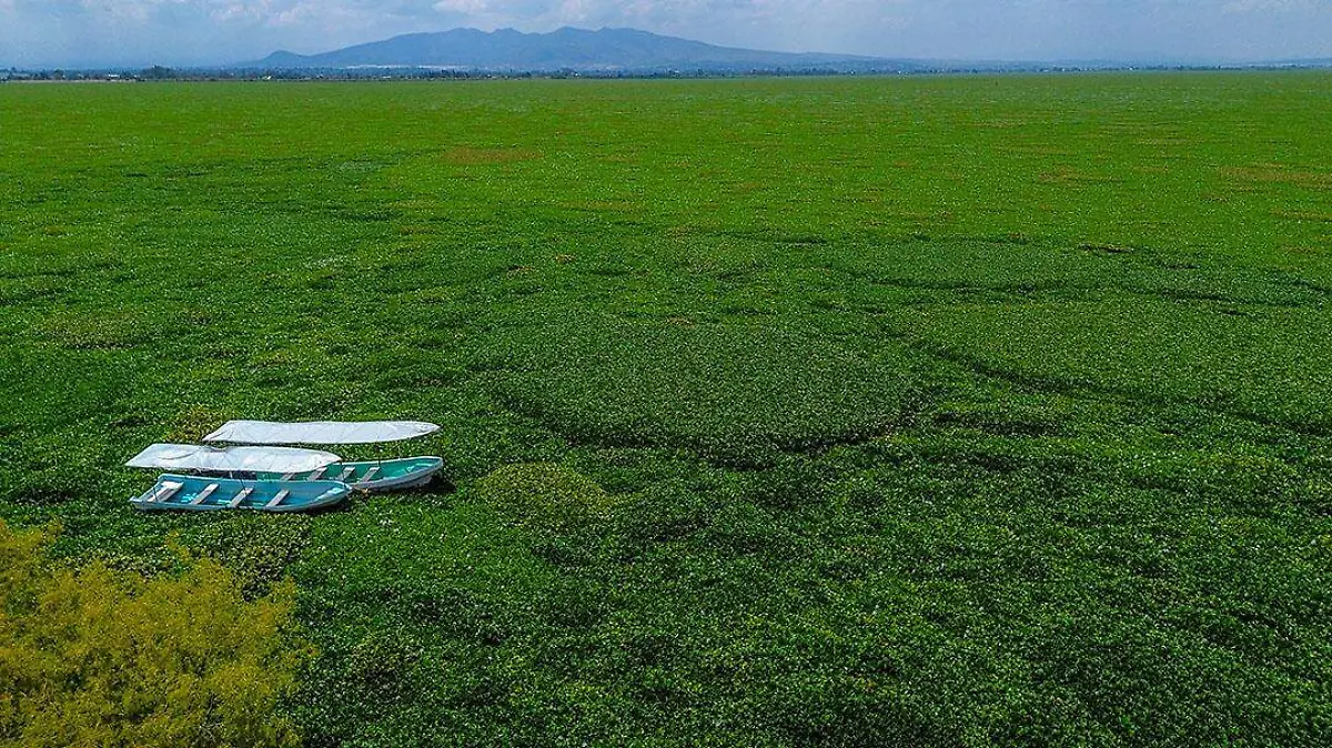 DJI_0992