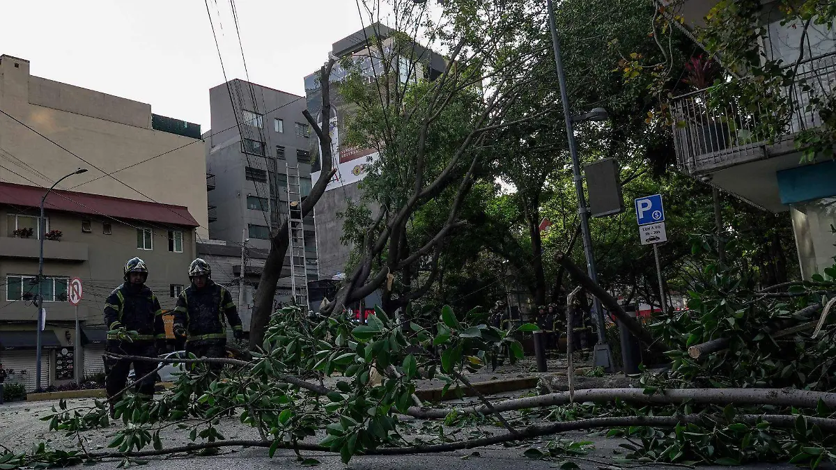 1013092_Caída de árbol Polanco_web