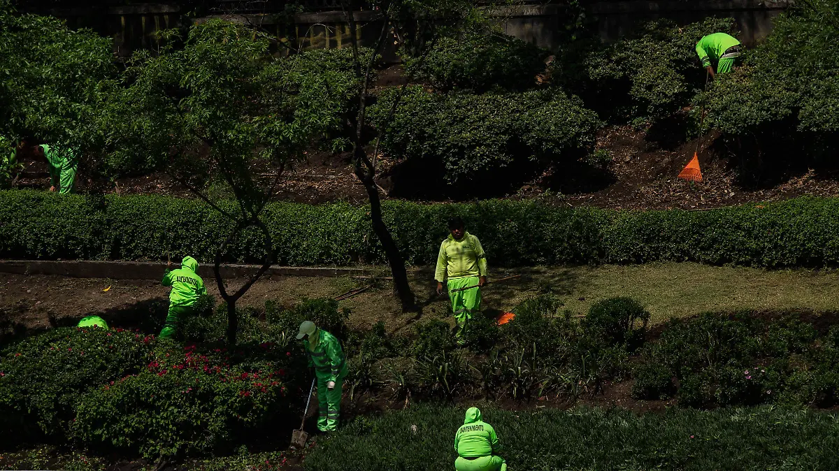 939099_Trabajadores Jardineras Chapultepec_impreso