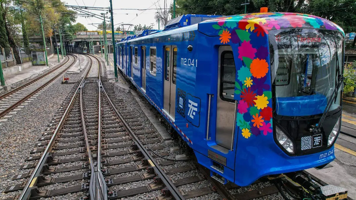 TREN LIGERO MUNDIAL3