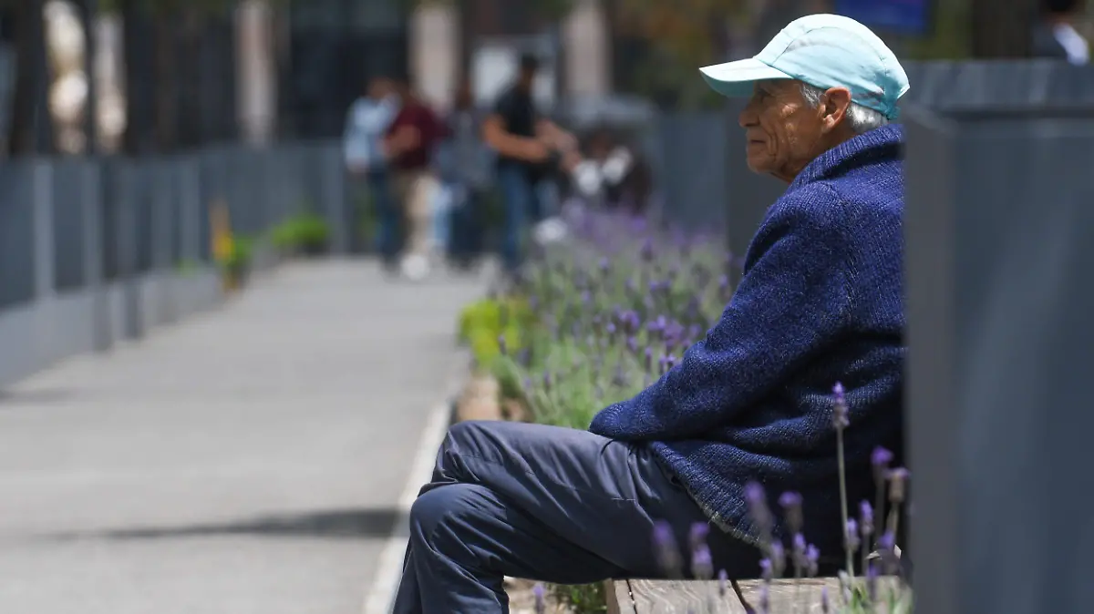1045261_Día del Abuelo_impreso
