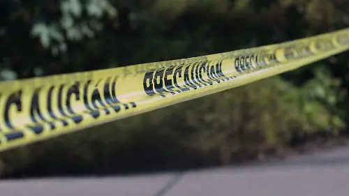 1038720_Xochitepec Embolsado_web