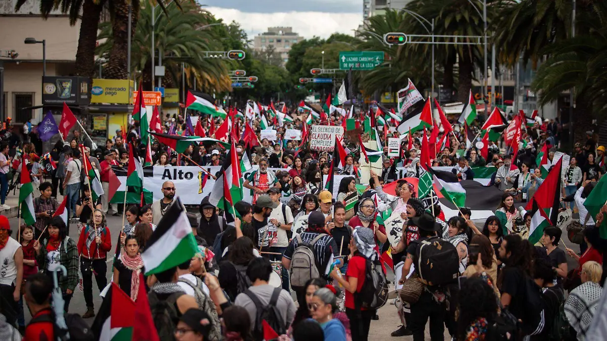 1050908_Marcha apoyo a Palestina_web