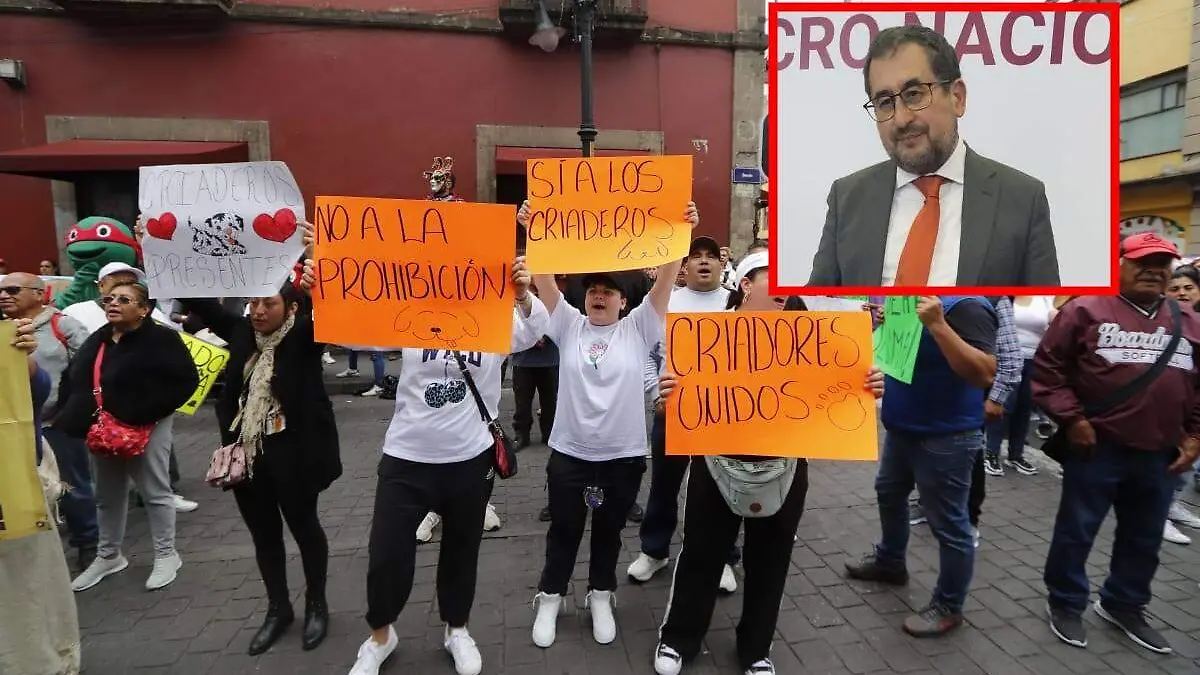 manifestacion contre ley venta animales DAVID DEOLARTE aurelio sanchez