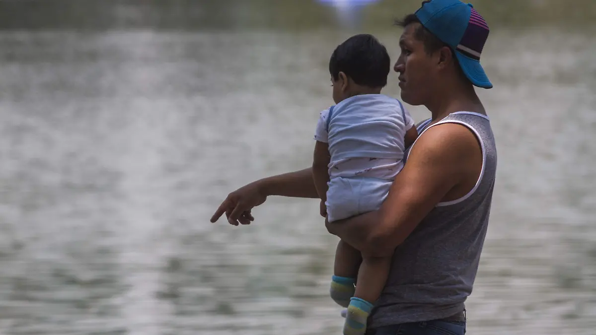 549940_Chapultepec Paternidad_impreso