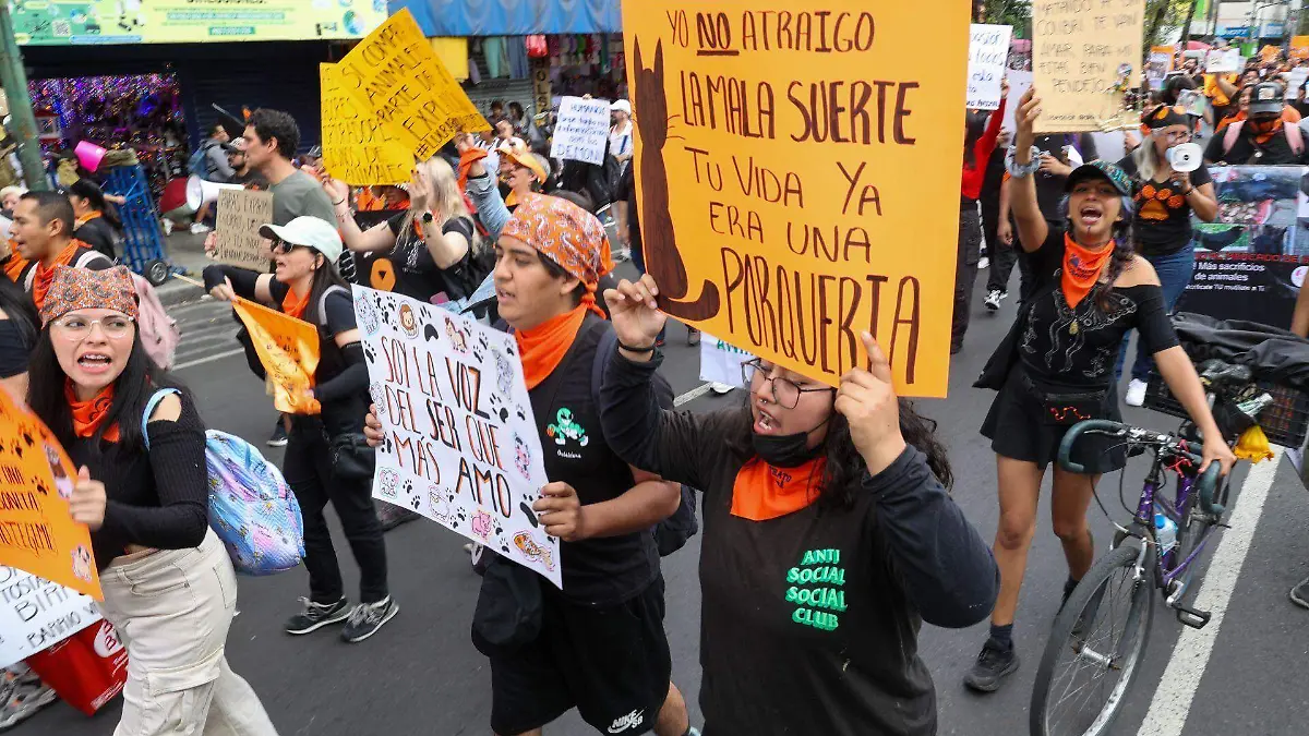 1050583_Marcha vs Mercado de Sonora_web