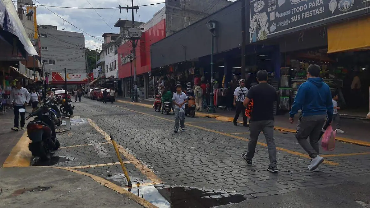 Negocios en Tlalne  (3)