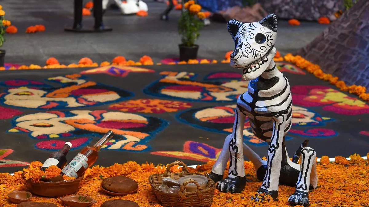 1003645_Ofrenda Monumental Gobierno del Estado de México_web
