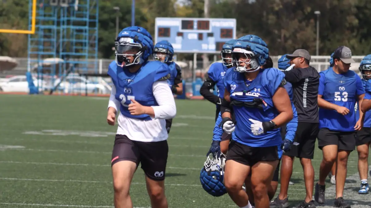 Captura de pantalla 2025-10-30 194159