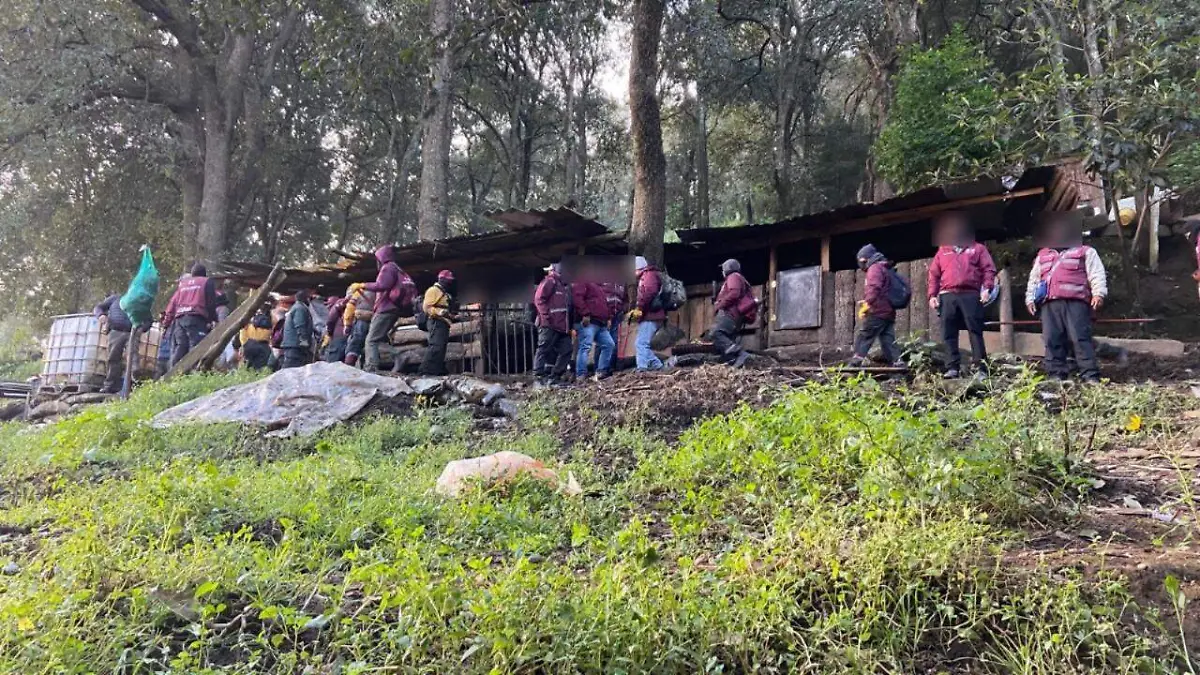 WhatsApp Image 2025-10-31 at 8.45.17 AM