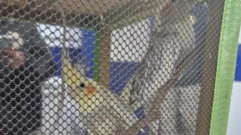 Decomiso en Gustavo A. Madero (4)