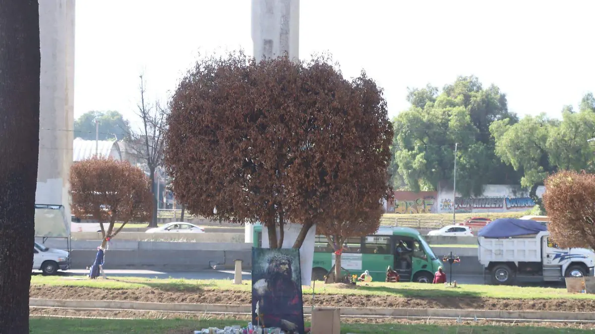 WhatsApp Image 2025-11-11 at 12.11.10 PM