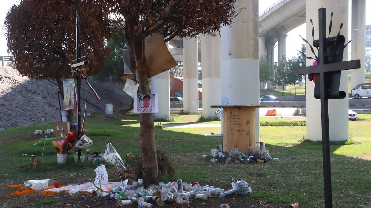 WhatsApp Image 2025-11-11 at 12.11.16 PM