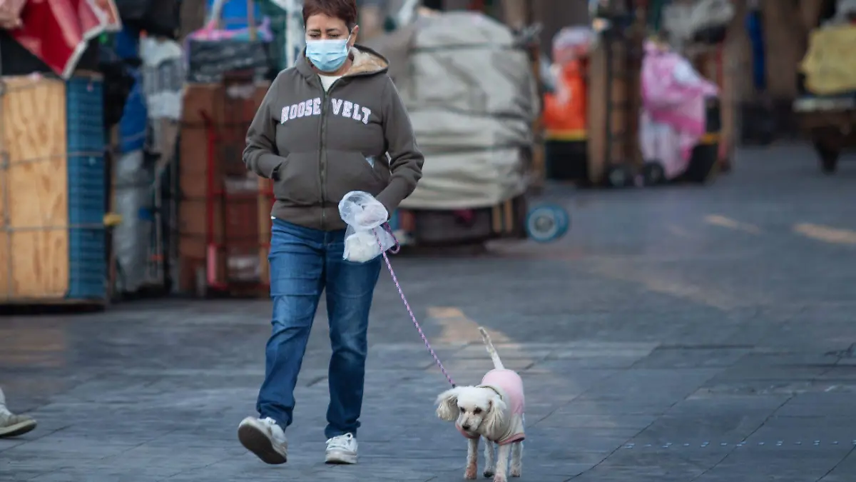 1055609_Bajas temperaturas Ciudad_impreso