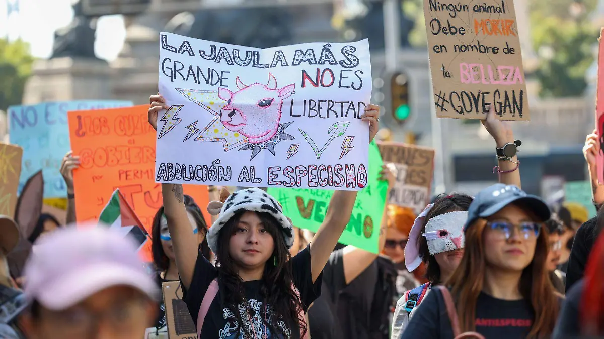 1056963_México vs El Especismo_web