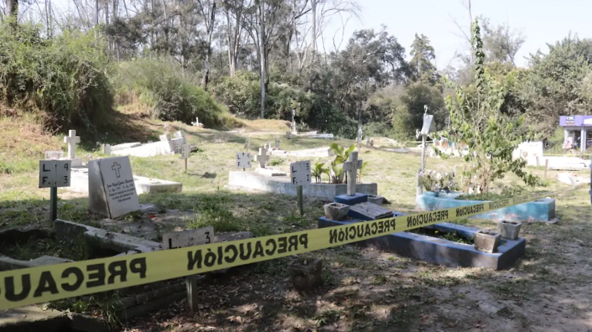 Captura de pantalla 2025-11-18 174709