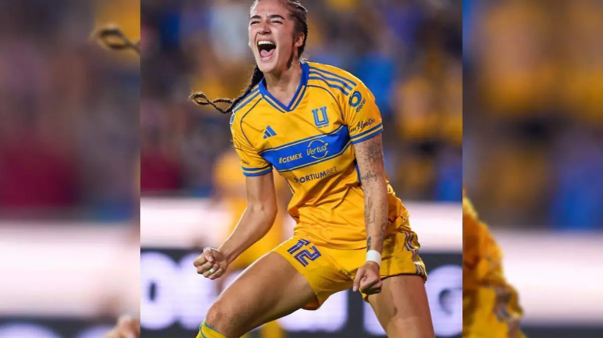 WhatsApp Image 2025-11-24 at 18.17.15