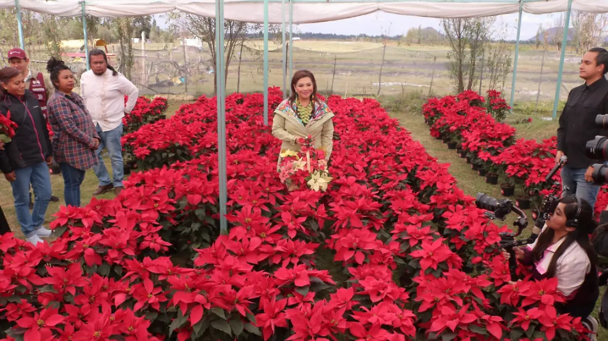 Captura de pantalla 2025-11-27 161606