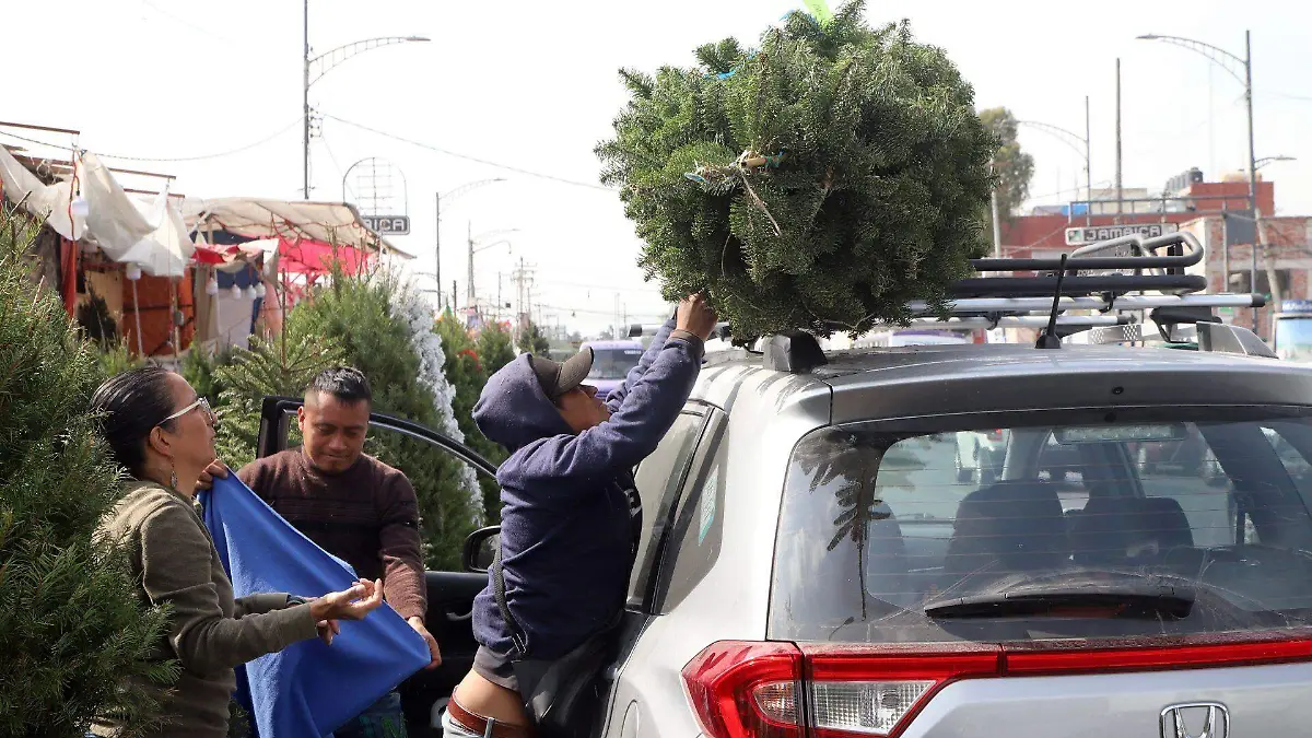 1011450_Venta de árboles navideños_web