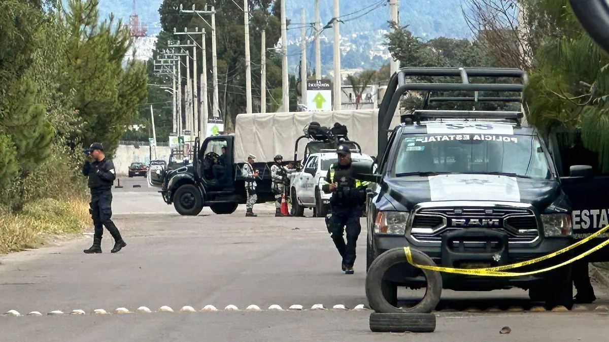 1006887_Aseguran armas y animales exóticos en Ocoyoacac_web