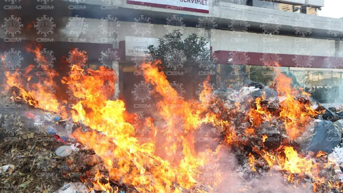 WhatsApp Image 2025-12-12 at 11.12.42 AM