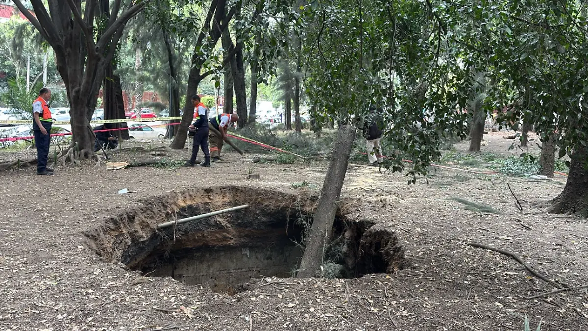 Captura de pantalla 2025-12-15 190200