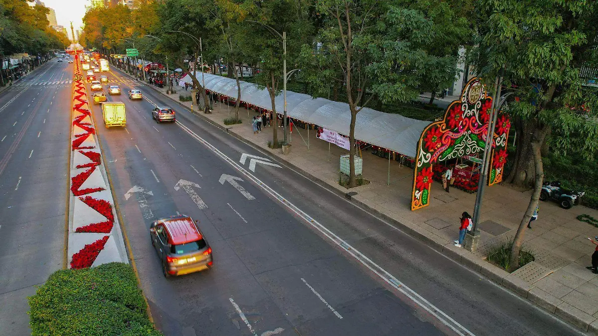 1008701_Venta de Nochebuenas_web