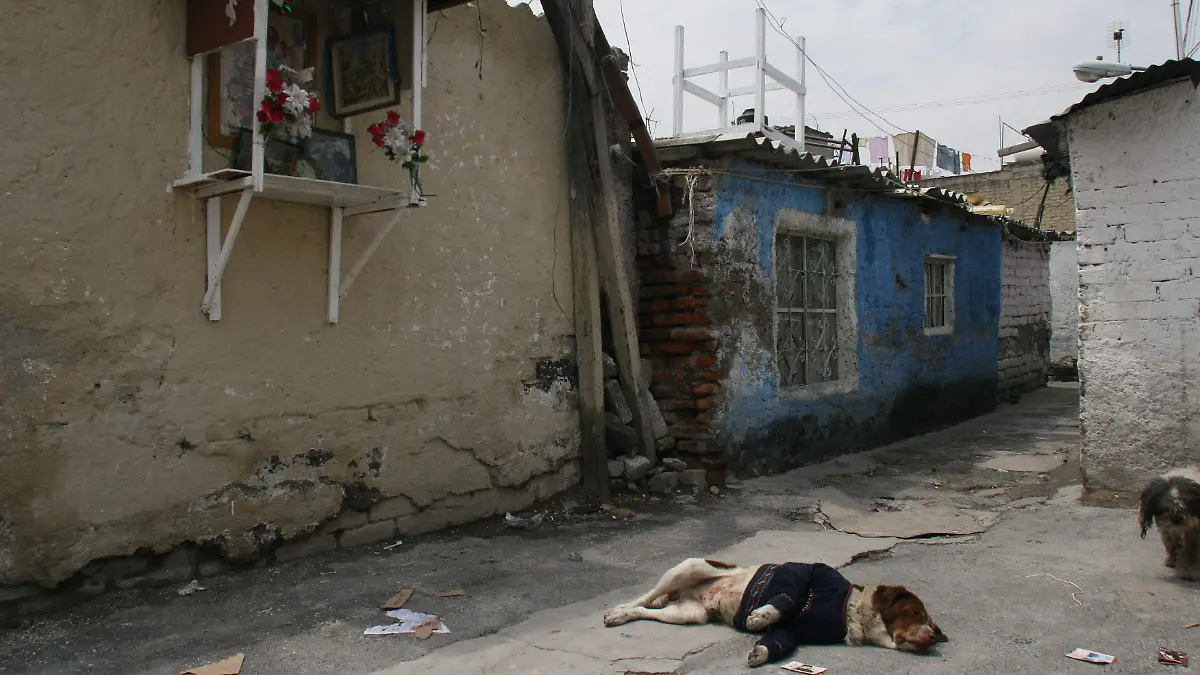 261919_Colonia Ampliacion El Triunfo Pobreza_impreso