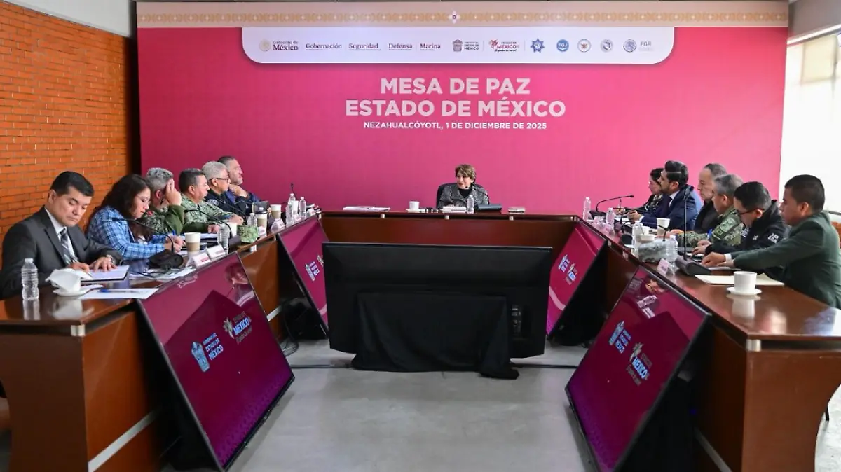 Captura de pantalla 2025-12-17 174047