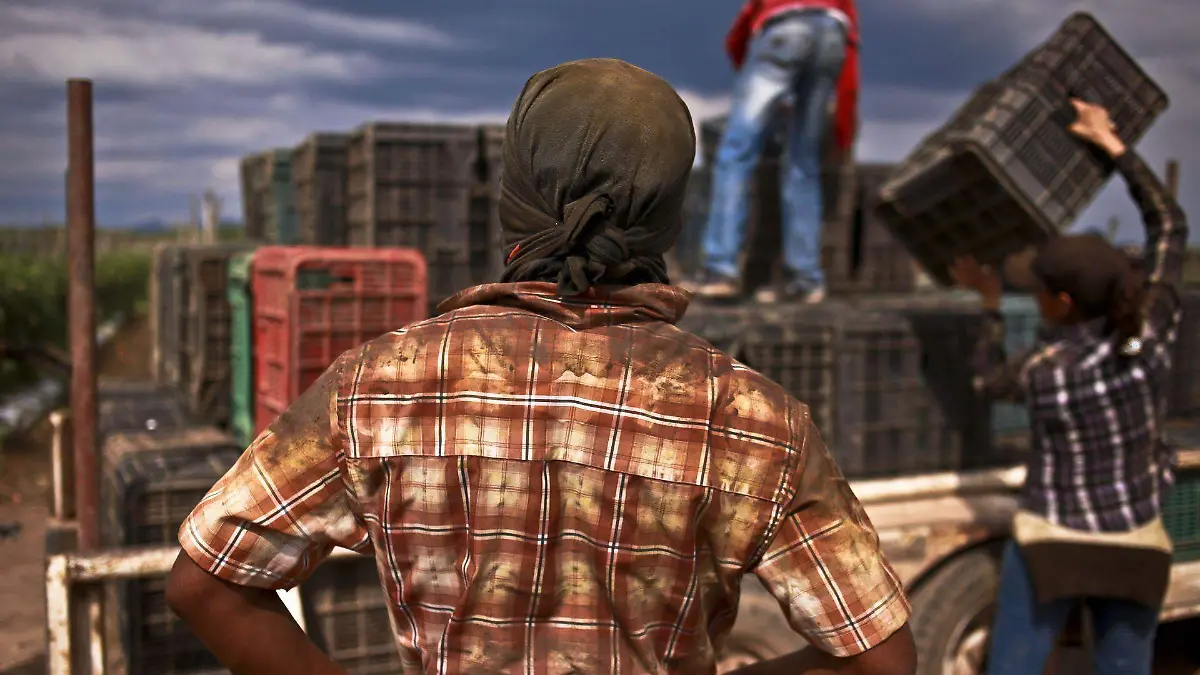 490880_Jornaleros Culiacan_web