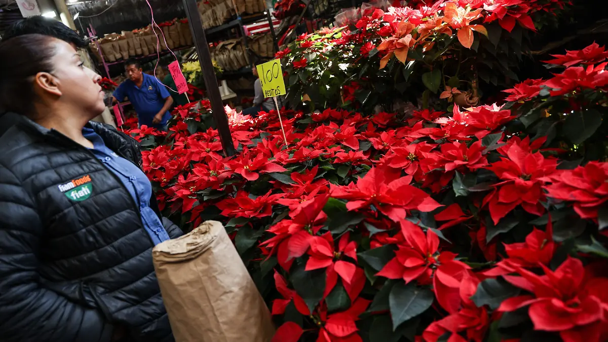 1060681_Ventas Navideñas Mercado Jamaica_impreso