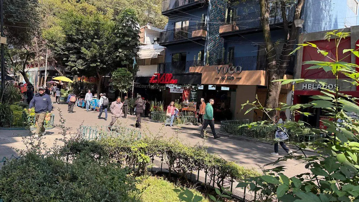 WhatsApp Image 2025-12-23 at 10.53.05 AM (1)