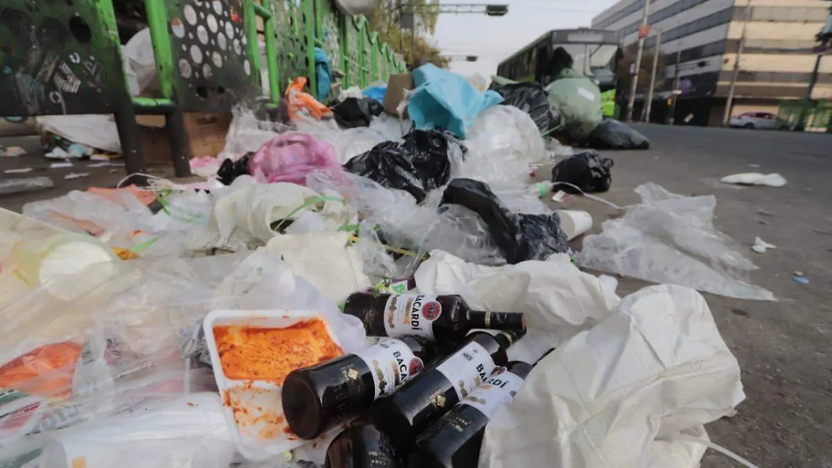 Basura diciembre  (10)