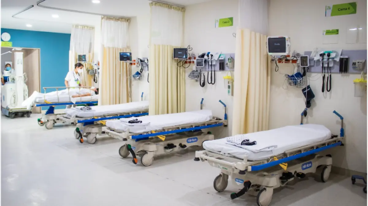 Captura de Pantalla 2025-12-25 a la(s) 13.01.02