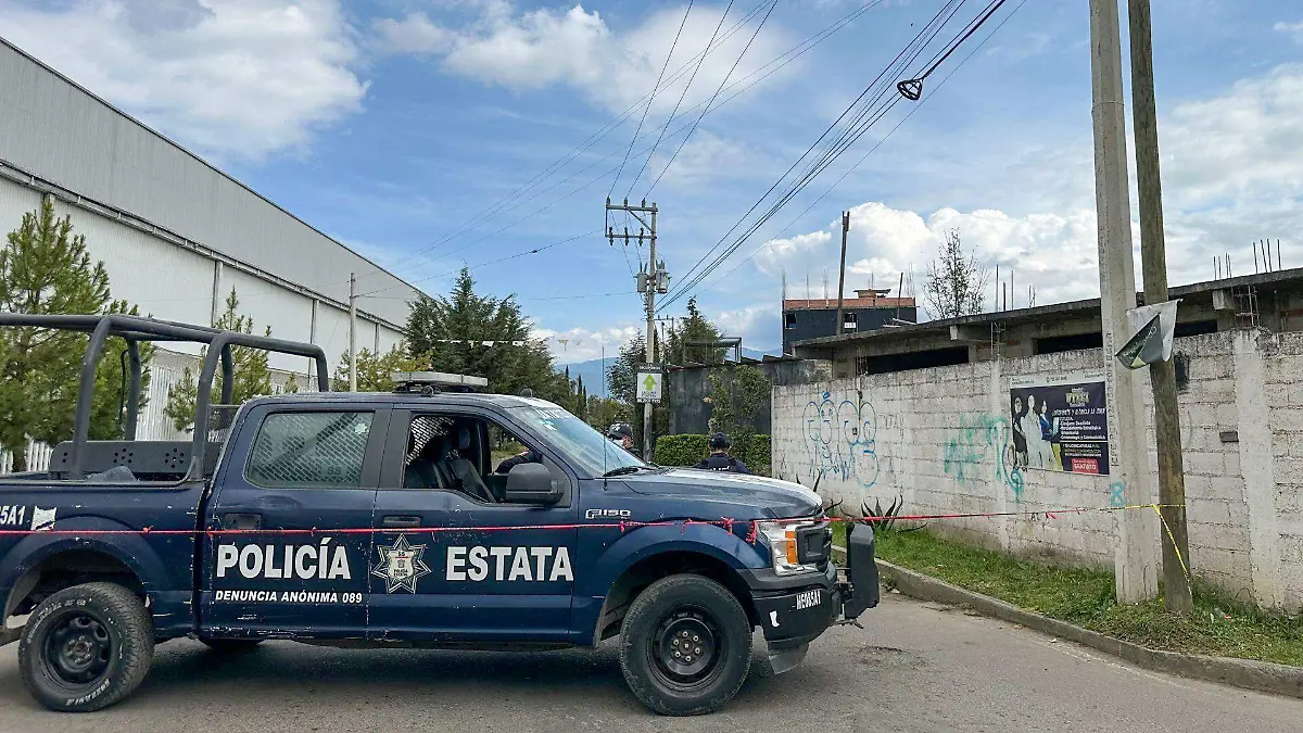 1006885_Aseguran armas y animales exóticos en Ocoyoacac_web