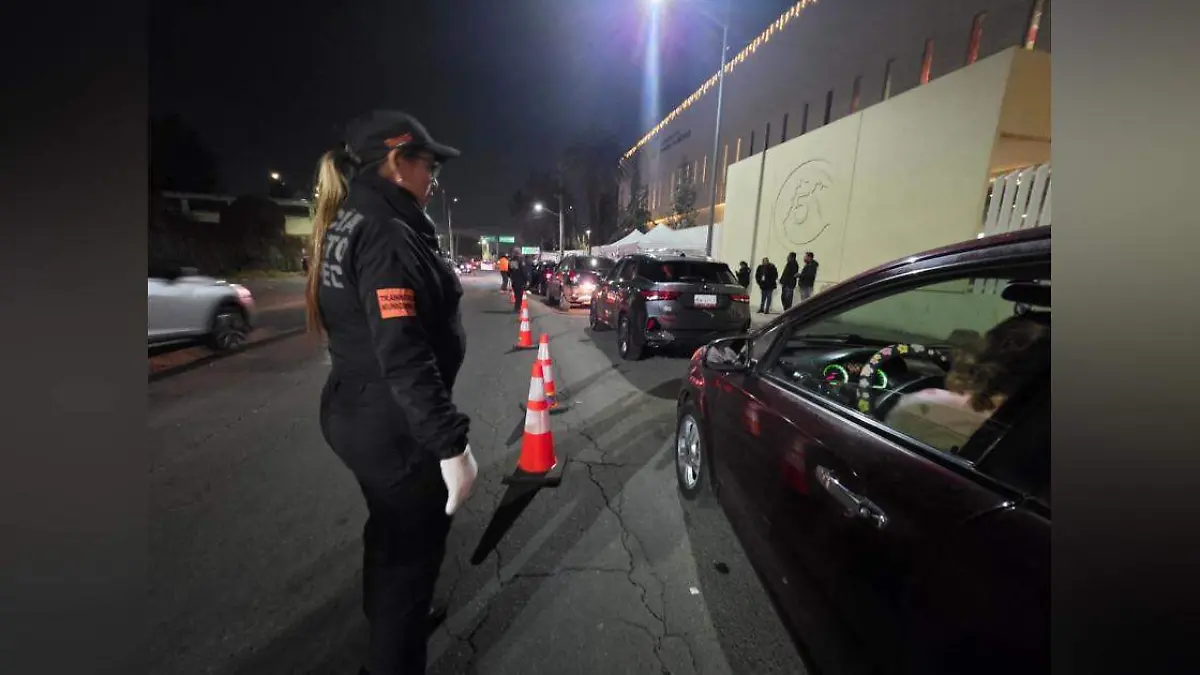 Captura de Pantalla 2025-12-28 a la(s) 16.57.14