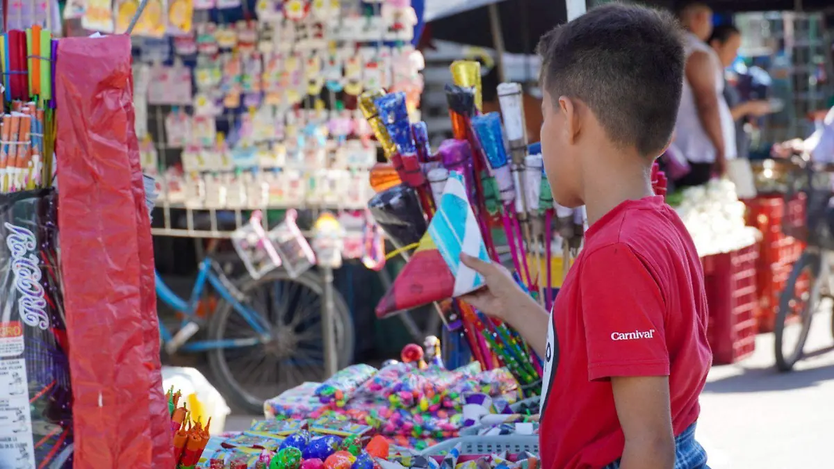 1062415_Venta de Pirotécnica_web (1)