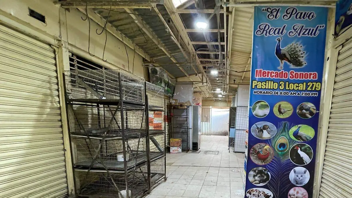 mercado sonora ROMISA SOLIS SOLMEX.3