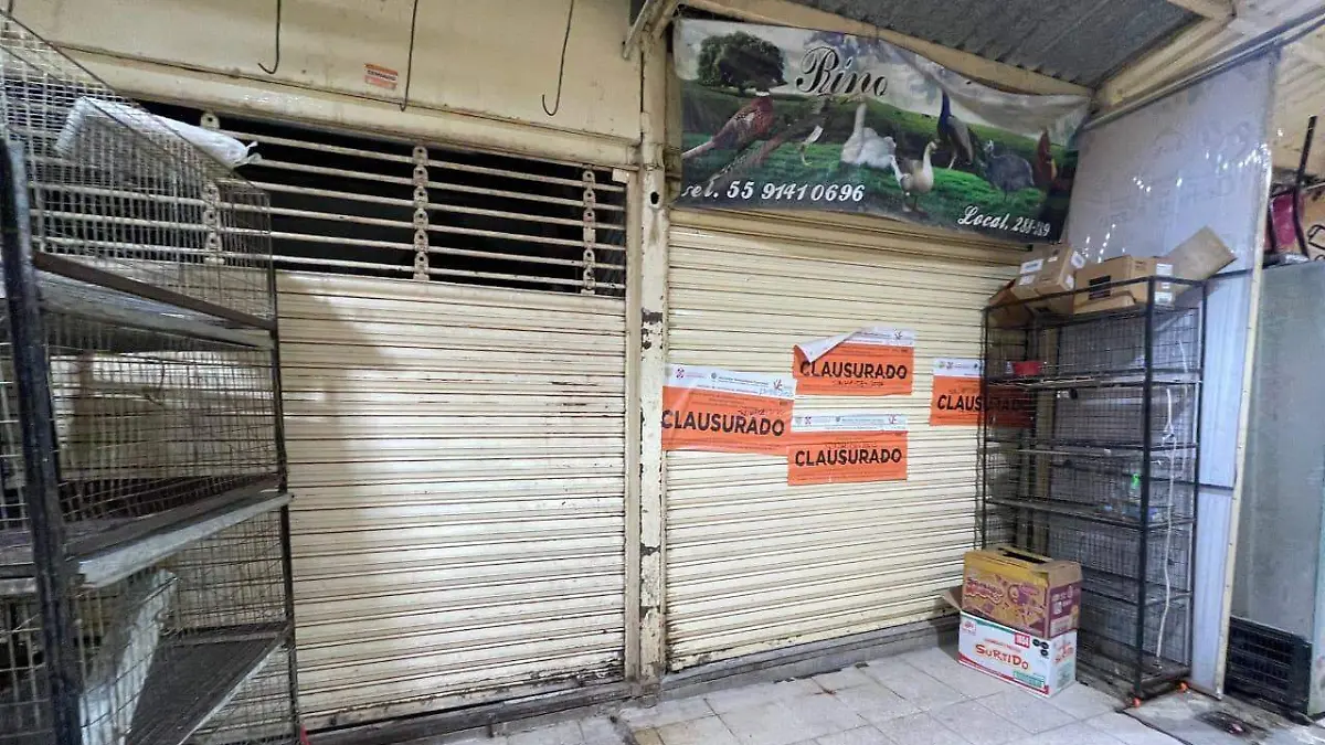 mercado sonora ROMISA SOLIS SOLMEX