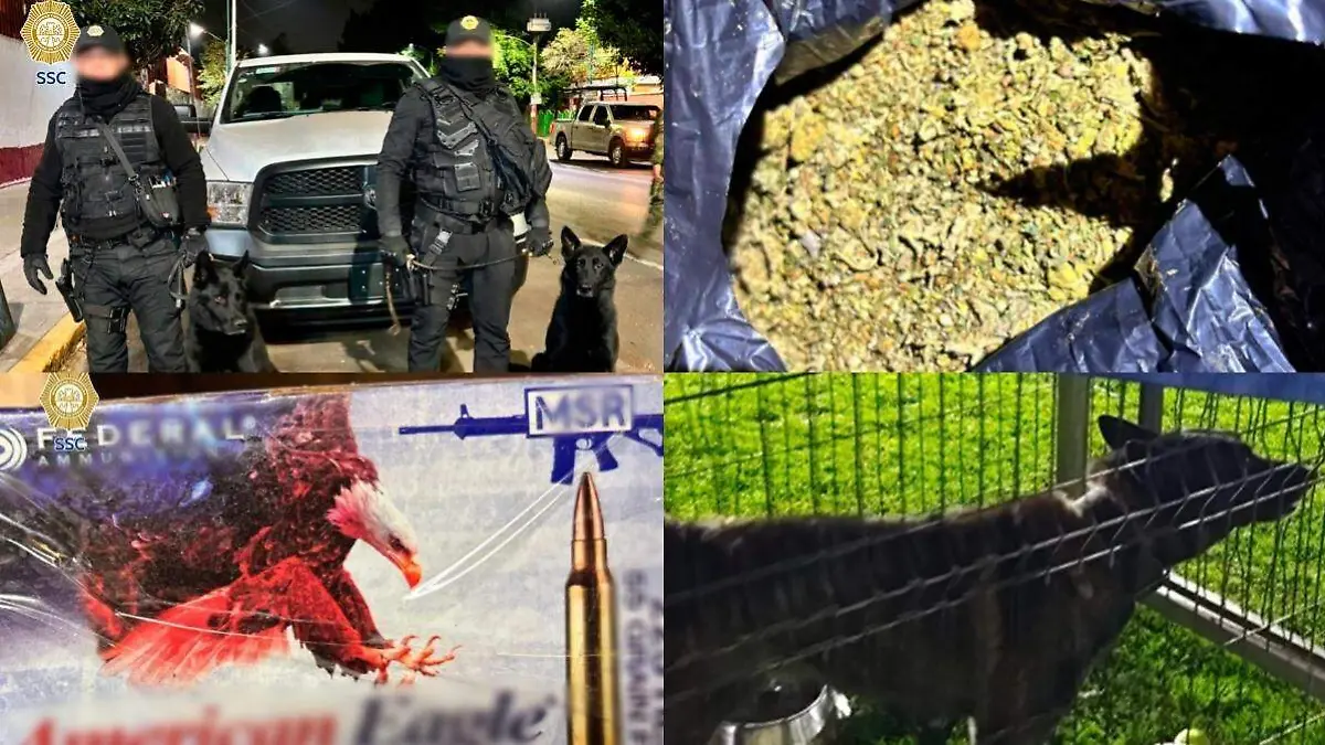 cateo en xochimilco SSC