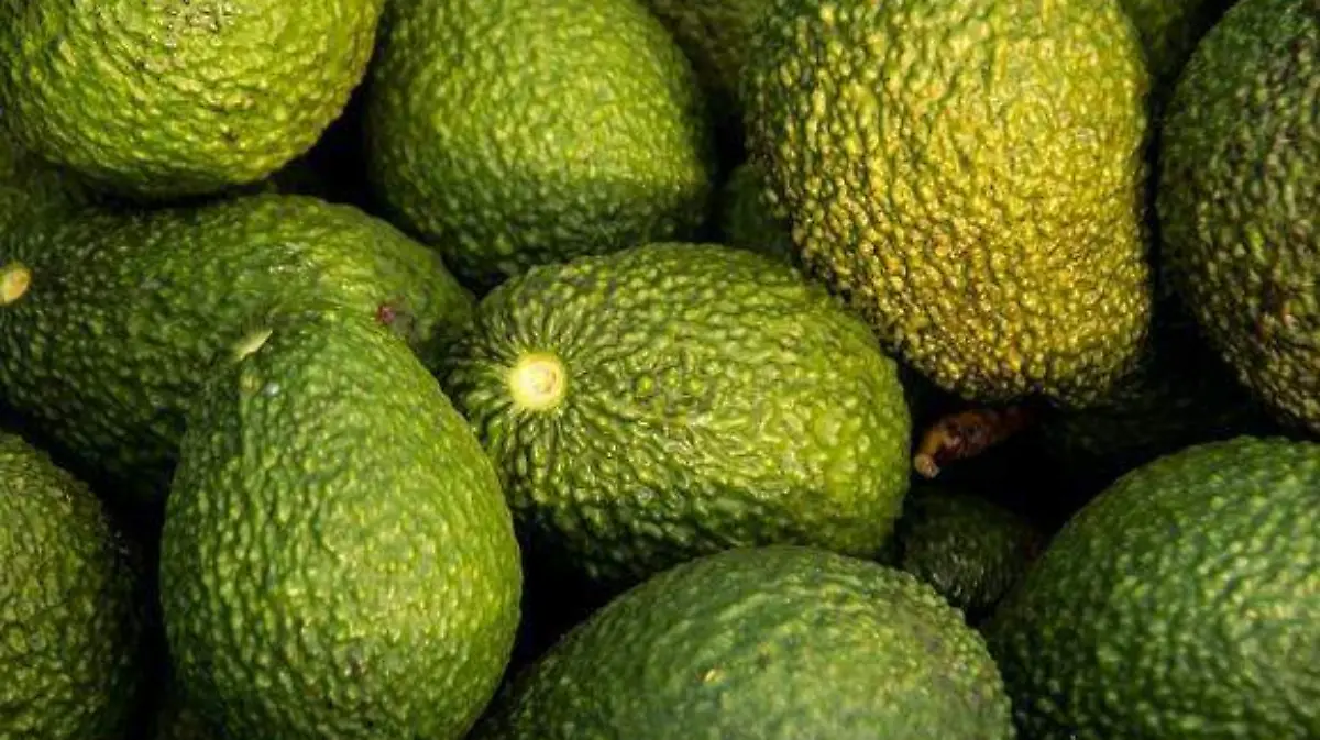 WhatsApp Image 2026-01-04 at 18.16.50